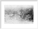 [image indistinct]    ...