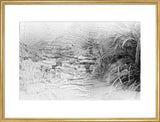 [image indistinct]    ...