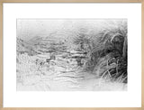 [image indistinct]    ...