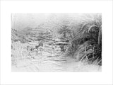 [image indistinct]    ...