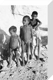 Portrait of three young boys ...