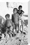 Portrait of three young boys ...