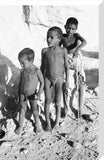 Portrait of three young boys ...