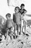 Portrait of three young boys ...