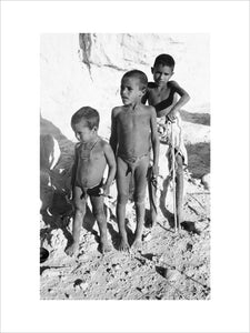 Portrait of three young boys ...