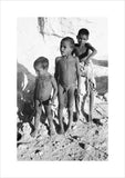 Portrait of three young boys ...