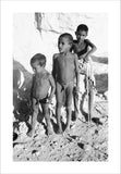 Portrait of three young boys ...
