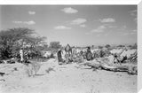 View of Wilfred Thesiger's party ...