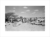 View of Wilfred Thesiger's party ...