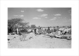 View of Wilfred Thesiger's party ...