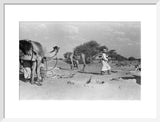View of Wilfred Thesiger's Bedouin ...