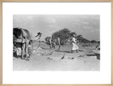 View of Wilfred Thesiger's Bedouin ...