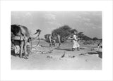 View of Wilfred Thesiger's Bedouin ...
