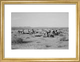 View of Sheikh Zayed bin ...