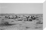 View of Sheikh Zayed bin ...