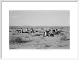 View of Sheikh Zayed bin ...