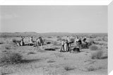 View of Sheikh Zayed bin ...