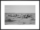View of Sheikh Zayed bin ...