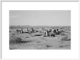 View of Sheikh Zayed bin ...