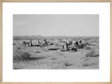 View of Sheikh Zayed bin ...