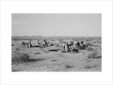View of Sheikh Zayed bin ...