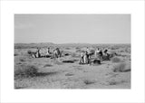 View of Sheikh Zayed bin ...