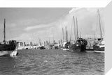 View of dhows (sailboats) moored ...