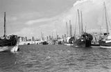View of dhows (sailboats) moored ...