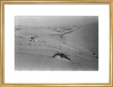 View of a member of ...