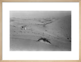 View of a member of ...