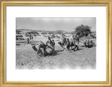 Mahra Bedouin of the Bayt ...
