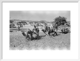Mahra Bedouin of the Bayt ...