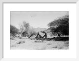 View of Wilfred Thesiger's travelling ...