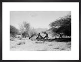 View of Wilfred Thesiger's travelling ...