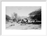 View of Wilfred Thesiger's travelling ...
