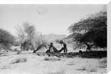 View of Wilfred Thesiger's travelling ...
