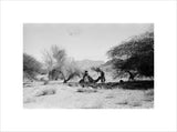 View of Wilfred Thesiger's travelling ...