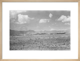 View of a vast barren ...