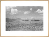 View of a vast barren ...