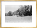 View of people and camels ...