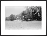 View of people and camels ...