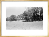 View of people and camels ...