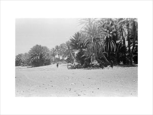 View of people and camels ...