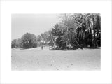 View of people and camels ...