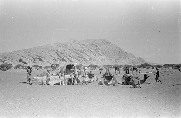 View of Wilfred Thesiger's party ...