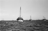 View of kotias, large double ...