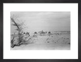 View of Wilfred Thesiger's travelling ...