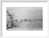 View of Wilfred Thesiger's travelling ...