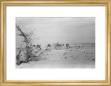 View of Wilfred Thesiger's travelling ...