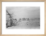 View of Wilfred Thesiger's travelling ...